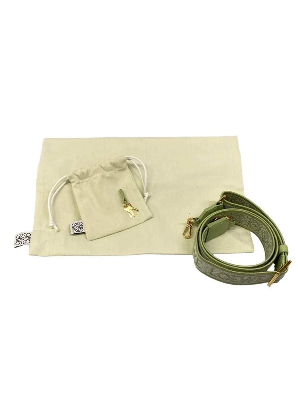 Loewe Handbag Amazona 16 Square Light Green